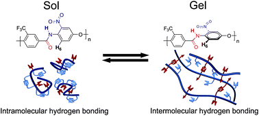 Graphical abstract: Physical gelation of polar aprotic solvents induced by hydrogen bonding modulation of polymeric molecules
