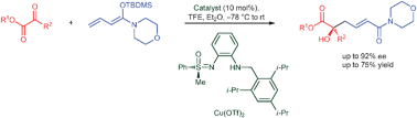 Graphical abstract: Enantioselective synthesis of highly functionalised amides by copper-catalysed vinylogous Mukaiyama aldol reaction