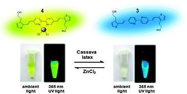 Graphical abstract: A Zn2+-specific fluorescent molecular probe for the selective detection of endogenous cyanide in biorelevant samples