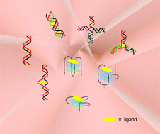 Graphical abstract: Recognition and regulation of unique nucleic acid structures by small molecules