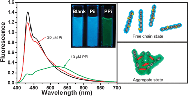 Graphical abstract: Fluorescent ratiometric sensing of pyrophosphate via induced aggregation of a conjugated polyelectrolyte