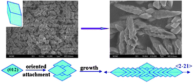Graphical abstract: A novel surfactant-free route to MnCO3 steep rhombohedra crystals and their large-scale assembly into regular elongated patterns in a mixed solvent