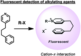 Graphical abstract: A pyridinium cation–π interaction sensor for the fluorescent detection of alkyl halides