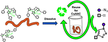 Graphical abstract: Polymeric ligands as homogeneous, reusable catalyst systems for copper assisted click chemistry