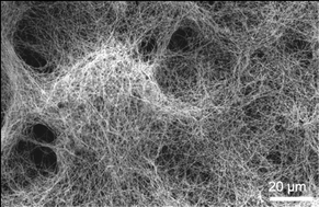 Graphical abstract: Vapor–liquid–solid growth of silicon nanowires using organosilane as precursor