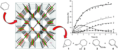 Graphical abstract: The remarkable catalytic activity of the saturated metal organic framework V-MIL-47 in the cyclohexene oxidation