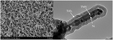 Graphical abstract: Self-assembled Ni/TiO2 nanocomposite anodes synthesized via electroless plating and atomic layer deposition on biological scaffolds