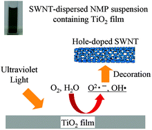 Graphical abstract: Photocatalysis-induced selective decoration of semiconducting single walled carbon nanotubes: hole-doping effect