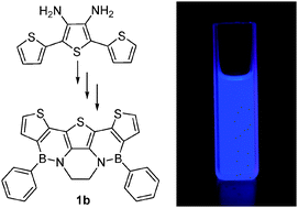 Graphical abstract: New azaborine-thiophene heteroacenes