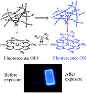Graphical abstract: Turn on fluorescence sensing of vapor phase electron donating amines via tetraphenylporphyrin or metallophenylporphrin doped polyfluorene