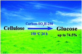 Graphical abstract: Hydrolysis of cellulose into glucose over carbons sulfonated at elevated temperatures