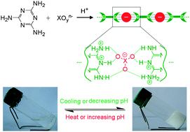 Graphical abstract: Anion-triggered melamine based self-assembly and hydrogel