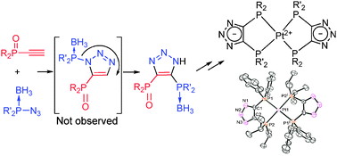 Graphical abstract: Modifiable bidentate systems via N–C rearrangement in triazoles