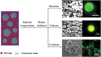 Graphical abstract: Controlled production of polymer microspheres from microgel-stabilized high internal phase emulsions