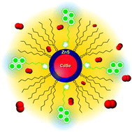 Graphical abstract: A ratiometric luminescent oxygen sensor based on a chemically functionalized quantum dot