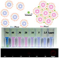 Graphical abstract: Selective and sensitive detection of melamine by intra/inter liposomal interaction of polydiacetylene liposomes