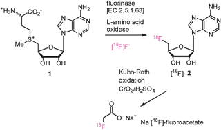 Graphical abstract: Fluorinase mediated chemoenzymatic synthesis of [18F]-fluoroacetate