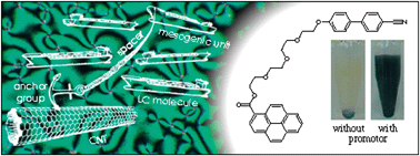 Graphical abstract: Tailor-designed polyphilic promotors for stabilizing dispersions of carbon nanotubes in liquid crystals