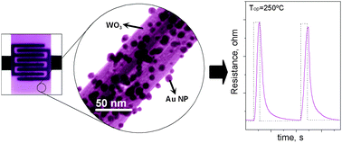 Graphical abstract: Au nanoparticle-functionalised WO3 nanoneedles and their application in high sensitivity gas sensor devices