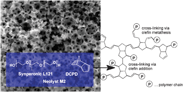 Graphical abstract: Inherently reactive polyHIPE material from dicyclopentadiene