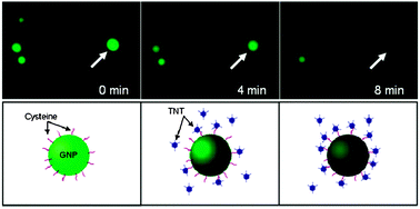 Graphical abstract: Plasmonic resonance energy transfer-based nanospectroscopy for sensitive and selective detection of 2,4,6-trinitrotoluene (TNT)