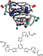 Graphical abstract: Structure-based design of selective high-affinity telomeric quadruplex-binding ligands