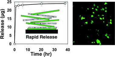 Graphical abstract: Rapid release of plasmid DNA from polyelectrolyte multilayers: A weak poly(acid) approach