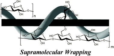 Graphical abstract: ‘Supramolecular wrapping chemistry’ by helix-forming polysaccharides: a powerful strategy for generating diverse polymeric nano-architectures