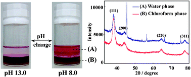 Graphical abstract: Reversible phase transfer and fractionation of Au nanoparticles by pH change