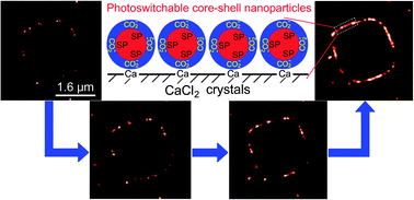Graphical abstract: Super-resolution fluorescence nanoscopy applied to imaging core–shell photoswitching nanoparticles and their self-assemblies