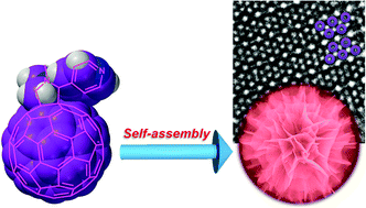Graphical abstract: Flowerlike supramolecular architectures assembled from C60 equipped with a pyridine substituent