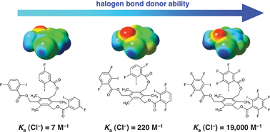 Graphical abstract: Measurements of weak halogen bond donor abilities with tridentate anion receptors