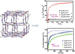Graphical abstract: A three-dimensional microporous metal–organic framework with large hydrogen sorption hysteresis
