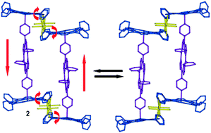Graphical abstract: Concerted motions in supramolecular systems: metal-mediated assemblies of porphyrins that behave like nanometric step-machines