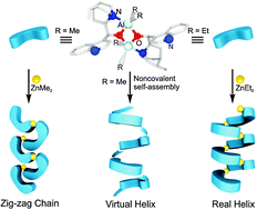 Graphical abstract: Development of chiral N,N-ditopic metalloligands based on a Cinchona alkaloids' backbone for constructing homochiral coordination polymers