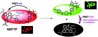 Graphical abstract: Construction of a FRET-based ratiometric fluorescent thiol probe