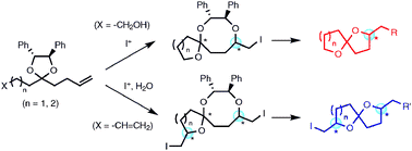 Graphical abstract: Intramolecular iodoetherification of ene or diene ketals: facile synthesis of spiroketals