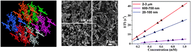 Graphical abstract: Nano- and microcrystals of a Mn-based metal–oligomer framework showing size-dependent magnetic resonance behaviors