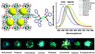 Graphical abstract: 2D flexible metal–organic frameworks with [Cd2(μ2-X)2](X = Cl or Br) units exhibiting selective fluorescence sensing for small molecules