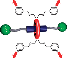 Graphical abstract: Linking [2]rotaxane wheels to create a new type of metal organic rotaxane framework