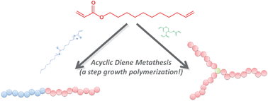 Graphical abstract: Synthesis of star- and block-copolymers using ADMET: head-to-tail selectivity during step-growth polymerization