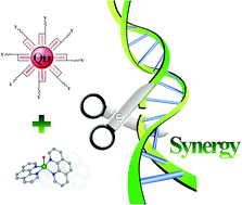 Graphical abstract: Synergy between quantum dots and 1,10-phenanthroline–copper(ii) complex towards cleaving DNA