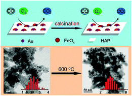 Graphical abstract: A highly active and sintering-resistant Au/FeOx–hydroxyapatite catalyst for CO oxidation