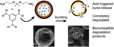 Graphical abstract: Acid-degradable solid-walled microcapsules for pH-responsive burst-release drug delivery