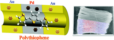 Graphical abstract: Synthesis of heterosegment-junctioned hybrid nanotubes of polythiophene and heterometallic nanoparticles by sequential template-based electropolymerization