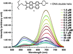 Graphical abstract: 9-Piperazine substituted perylene-3,4-dicarboximide as a fluorescent probe in ratiometric analysis