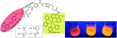 Graphical abstract: “Turn-on” FRET-based luminescent iridium(iii) probes for the detection of cysteine and homocysteine
