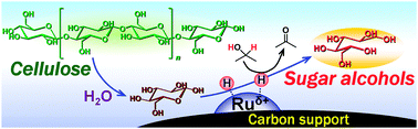 Graphical abstract: Transfer hydrogenation of cellulose to sugar alcohols over supported ruthenium catalysts