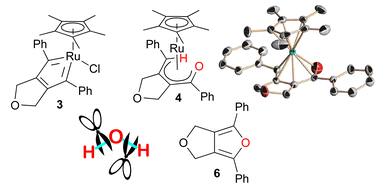 Graphical abstract: Activation of a water molecule under mild conditions by ruthenacyclopentatriene: mechanism of hydrative cyclization of diynes