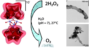 Graphical abstract: Oxygenic polyoxometalates: a new class of molecular propellers